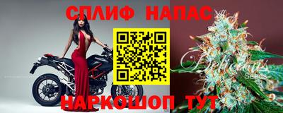 гашик Гатчина