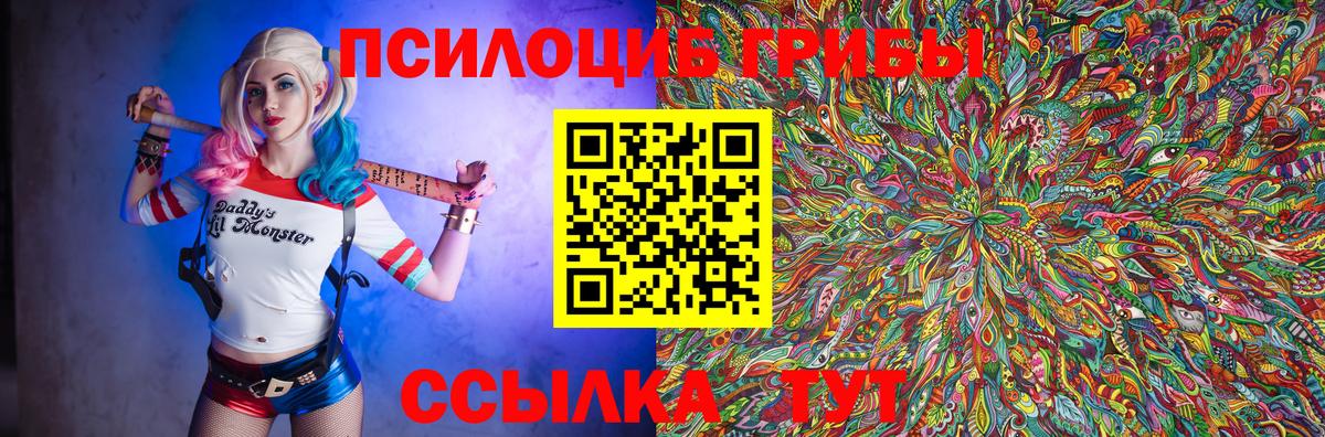 Галлюциногенные грибы мицелий  Галлюциногенные грибы Psilocybine cubensis  Павлово  Вход с VPN 