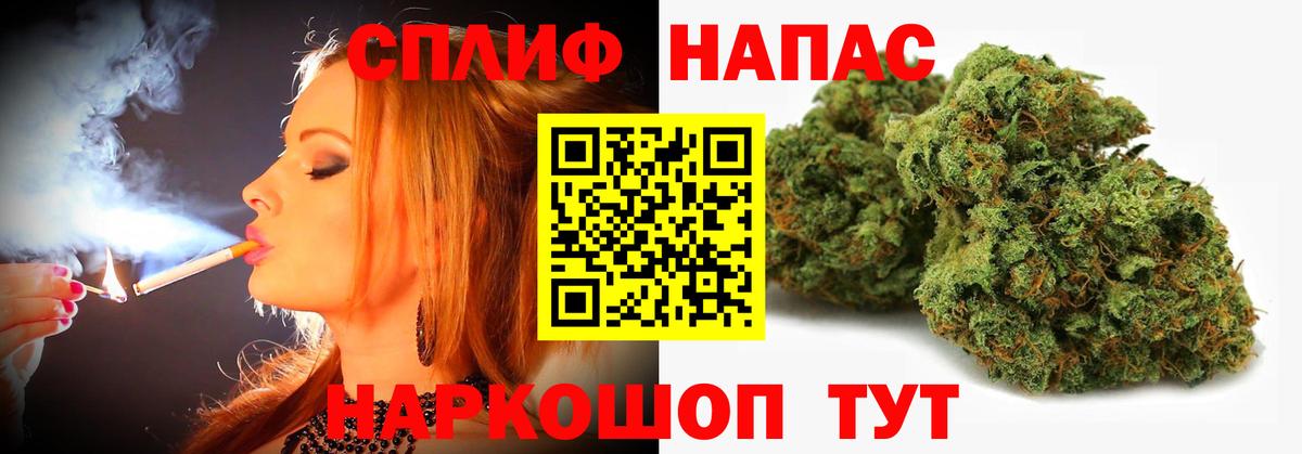Конопля индика Павлово